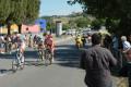 2009 san fiippo fci 041.jpg